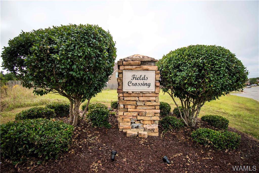 513 Grazing Field Drive - Photo 1