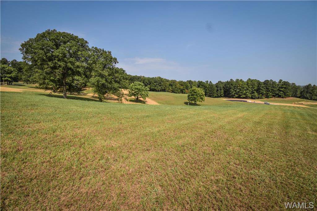 16 Highland Lakes Circle - Photo 1
