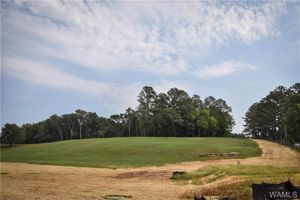 18 Highland Lakes Point - Photo 1