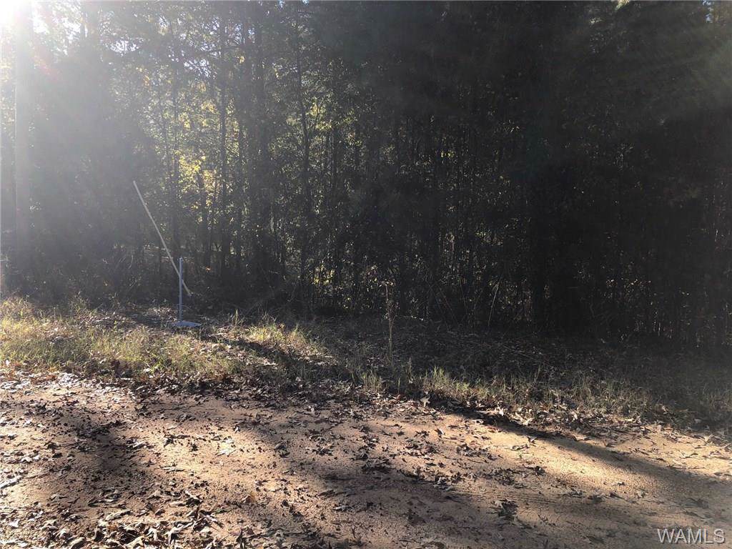 730 Lower Forty Road - Photo 1