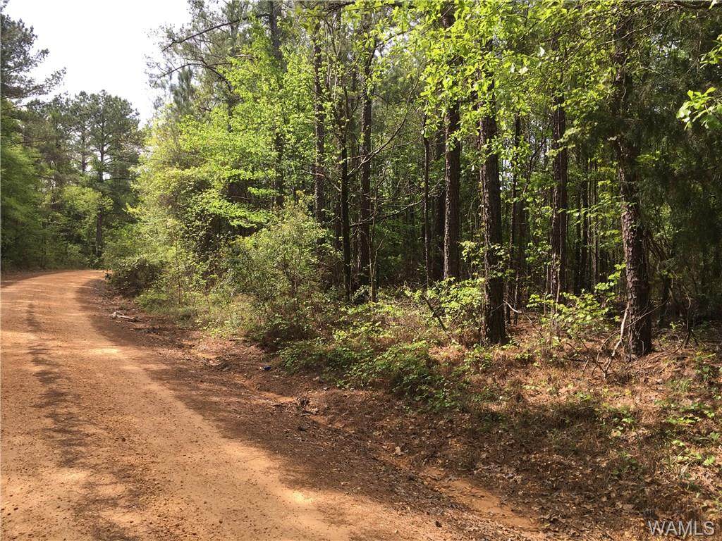 0 Little Rock Church Road - Photo 1