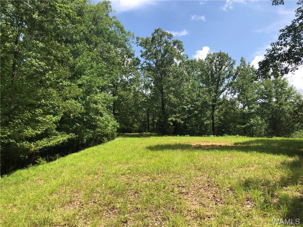 11300 Turkey Trace Lane - Photo 1