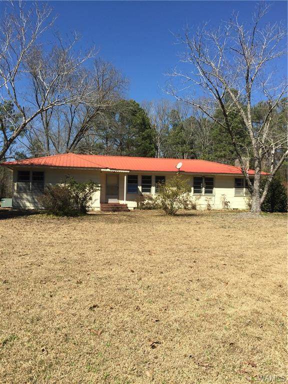 4810 Watermelon Road - Photo 1