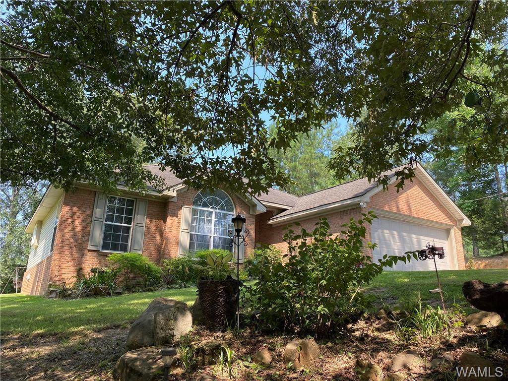 13856 Hagler Coaling Road - Photo 1