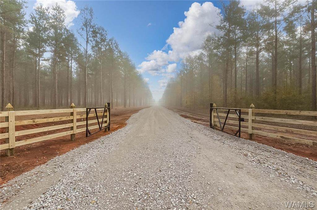 LOT 6 County Road 21 - Photo 1
