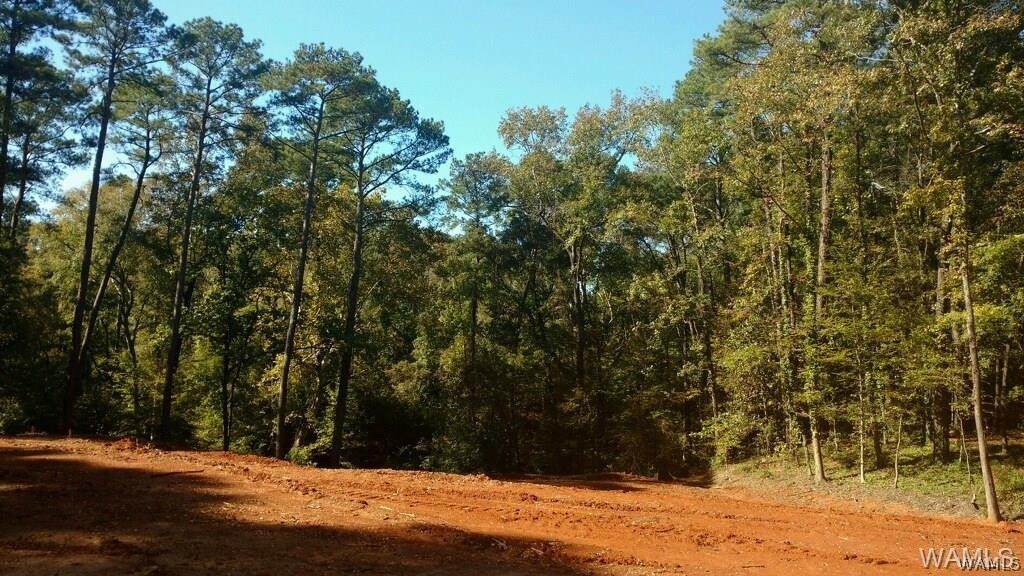 9 Rollingwood - Photo 1