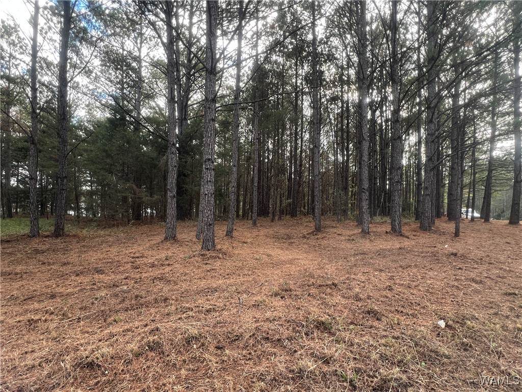 044 Crimson Ridge Circle - Photo 1