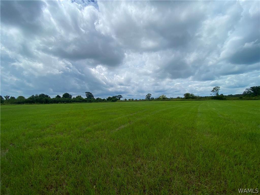 0 Johnson Road - Photo 1