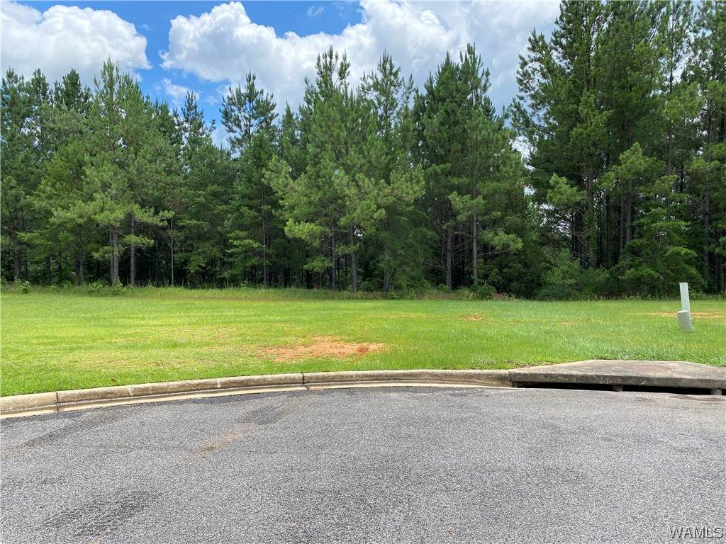 4530 Twin Spires Circle - Photo 1