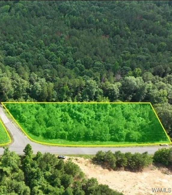 15 Skeet Davidson Road - Photo 1