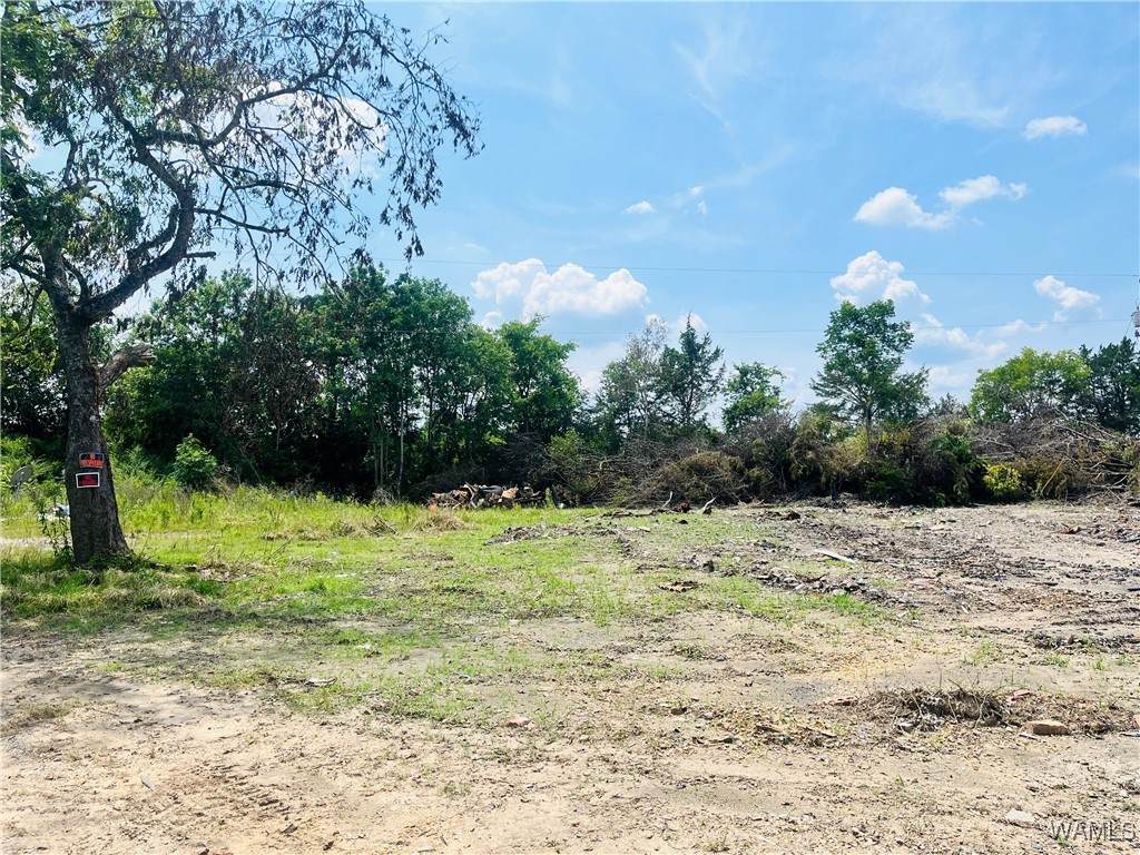 00 Nash Road - Photo 1