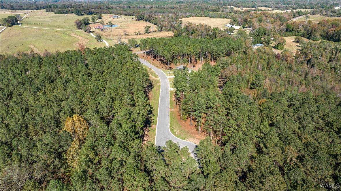 lot 18 Stormi Way - Photo 1