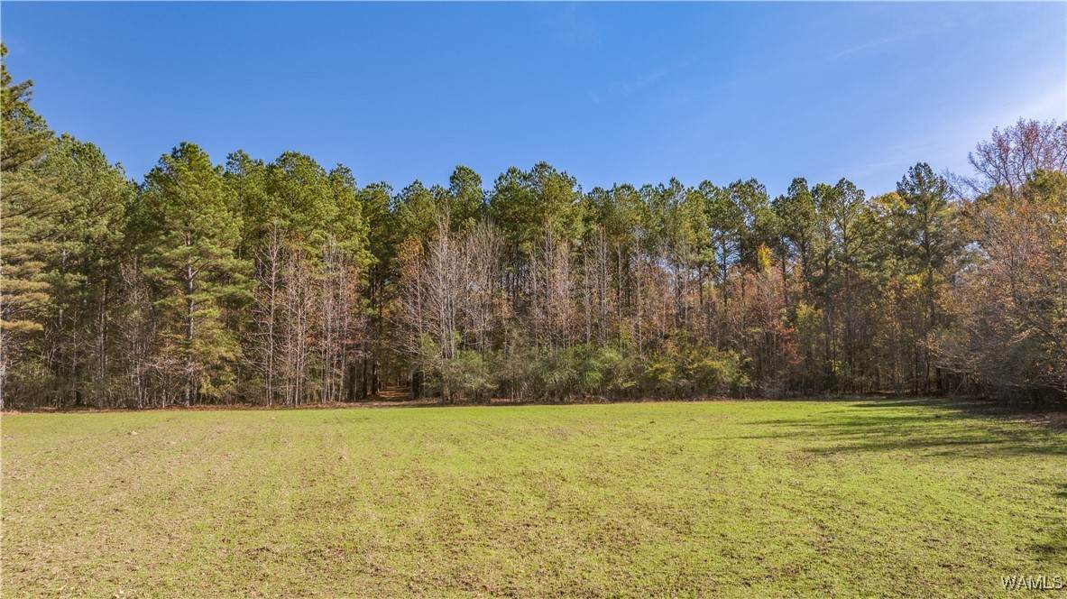 Lot 17 Stormi Way - Photo 1