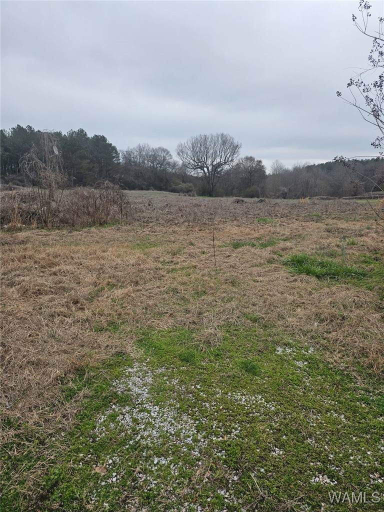 836 County Road 7 - Photo 1