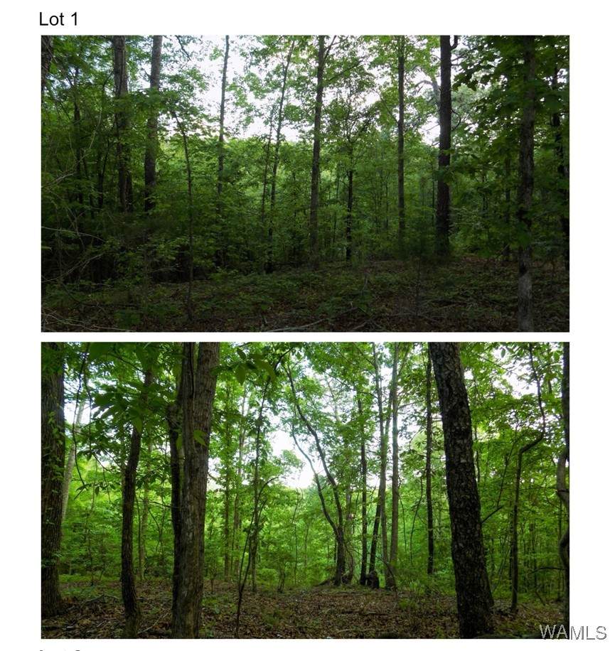 5890 Garner Road - Photo 1