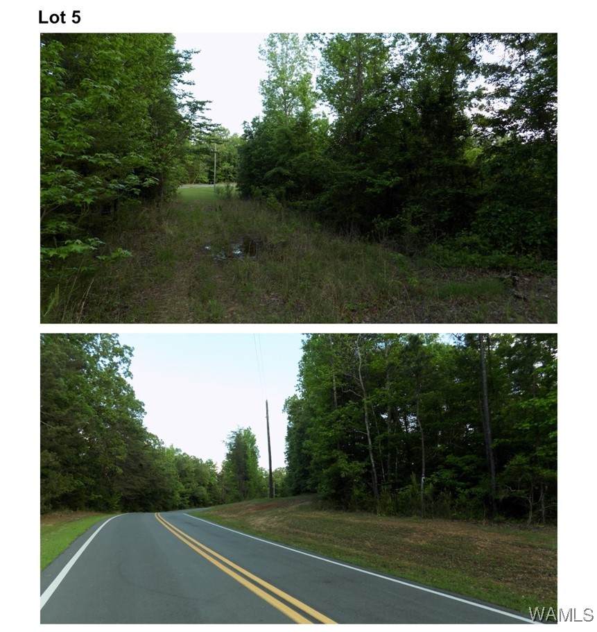 6170 Garner Road - Photo 1