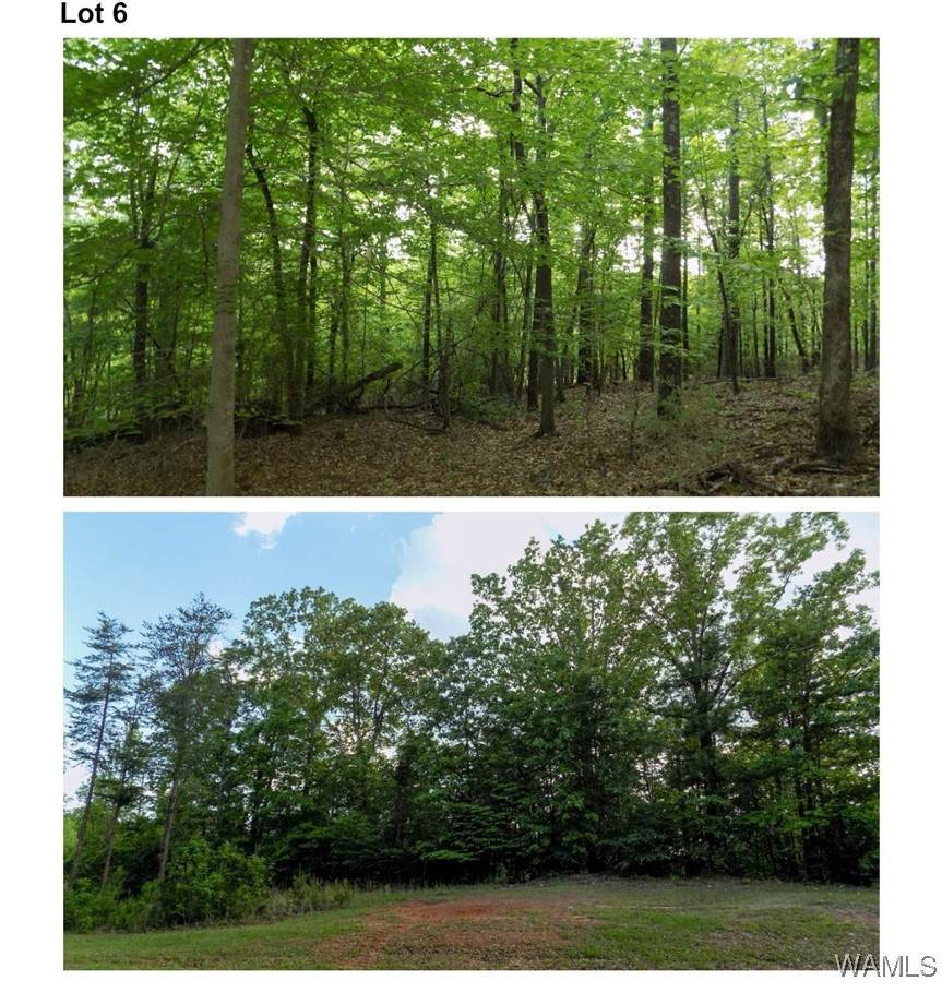 6240 Garner Road - Photo 1