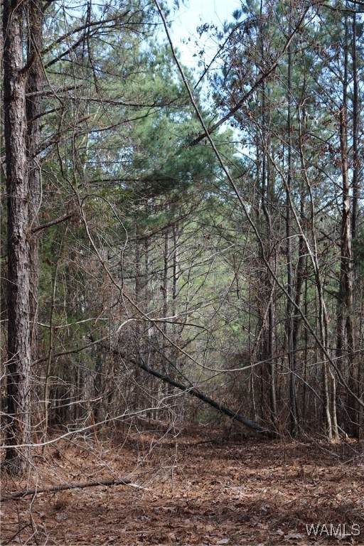 https://bt-photos.global.ssl.fastly.net/tuscaloosa/orig_boomver_1_169287-2.jpg