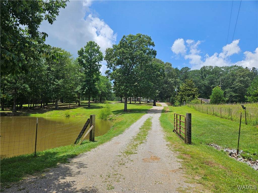 https://bt-photos.global.ssl.fastly.net/tuscaloosa/orig_boomver_2_169374-2.jpg