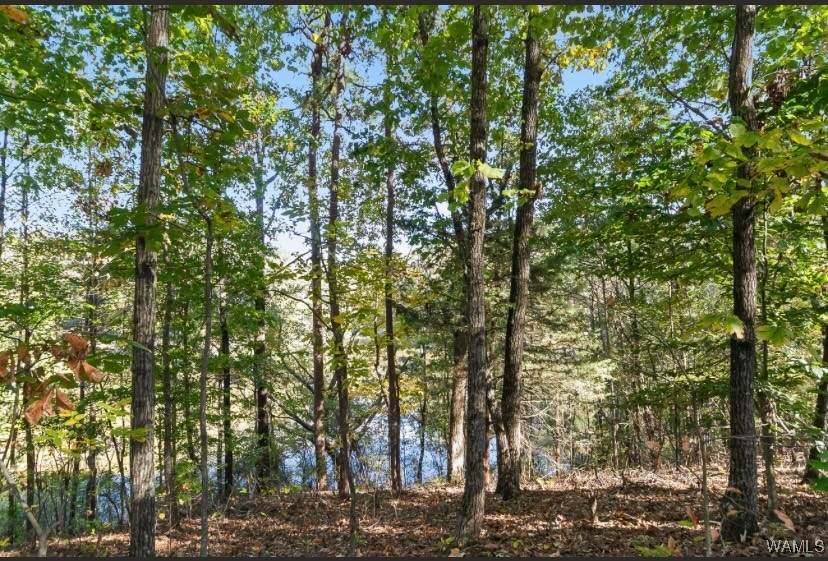 4013 East Lake Drive - Photo 1