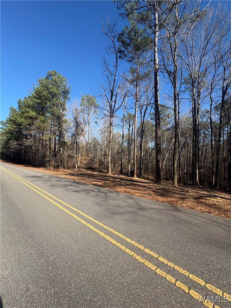 https://bt-photos.global.ssl.fastly.net/tuscaloosa/orig_boomver_2_171410-2.jpg