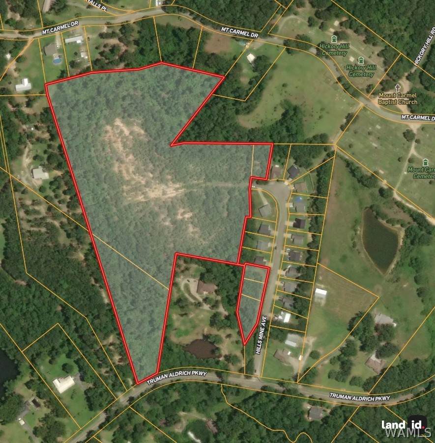 17 Acres Truman Aldrich Parkway - Photo 1