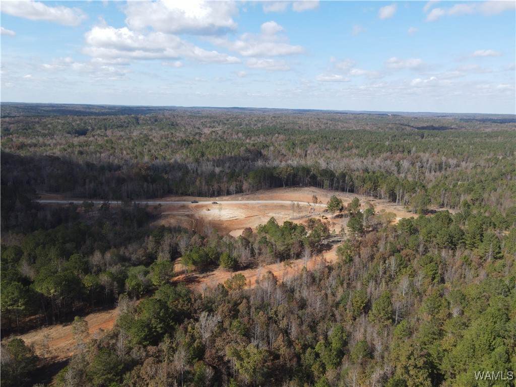 https://bt-photos.global.ssl.fastly.net/tuscaloosa/orig_boomver_2_172229-2.jpg
