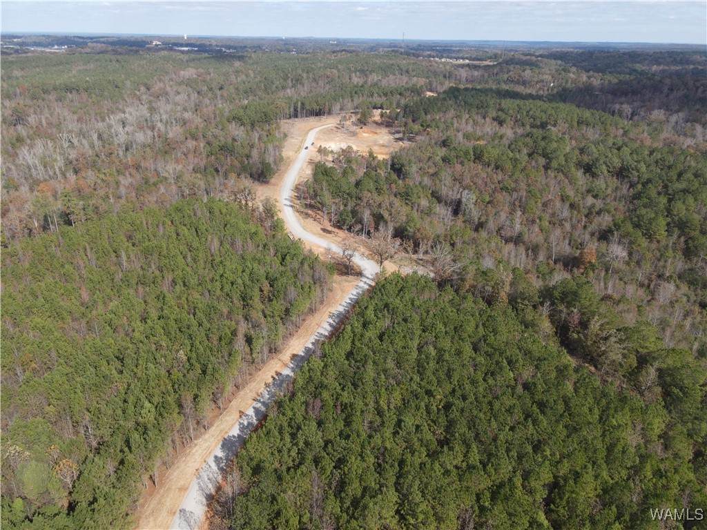 https://bt-photos.global.ssl.fastly.net/tuscaloosa/orig_boomver_2_172233-2.jpg