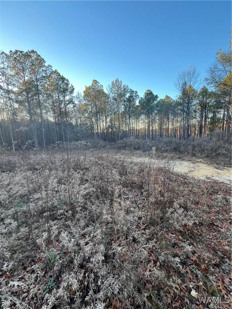 16015 Sanford Road - Photo 1