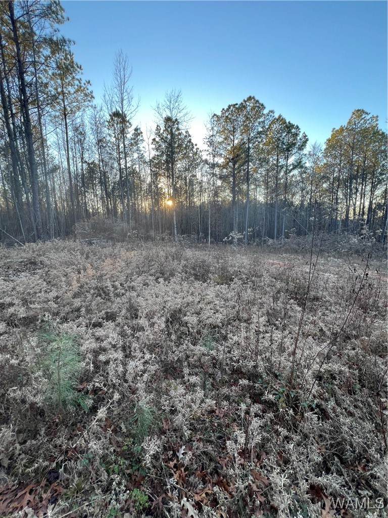 https://bt-photos.global.ssl.fastly.net/tuscaloosa/orig_boomver_2_172426-2.jpg