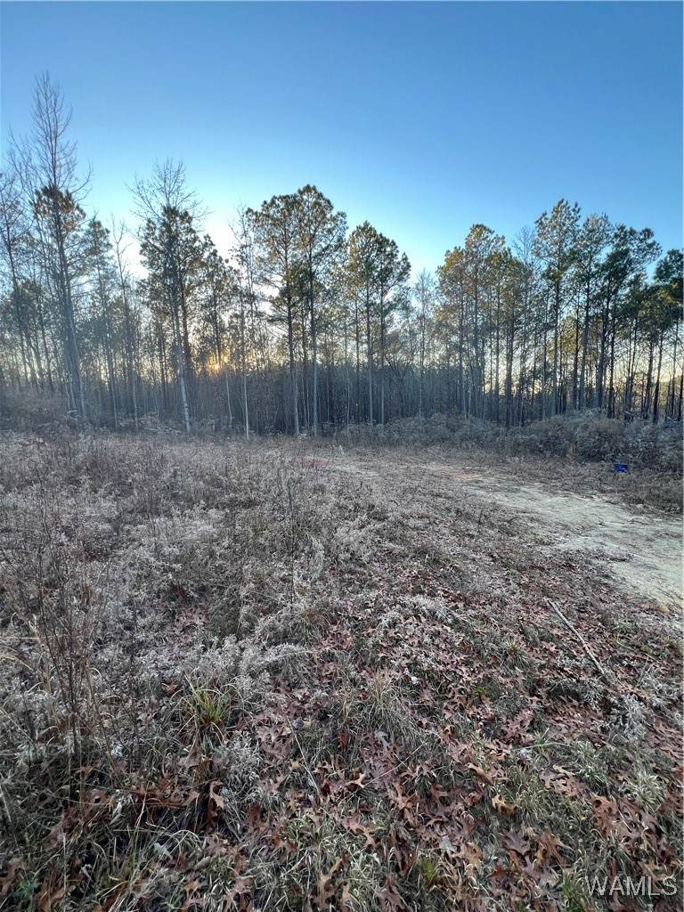 https://bt-photos.global.ssl.fastly.net/tuscaloosa/orig_boomver_2_172426-2.jpg