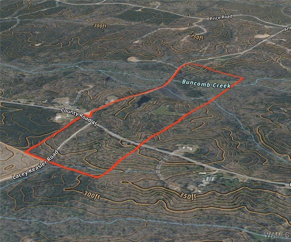 2530 County Road 45 - Photo 1