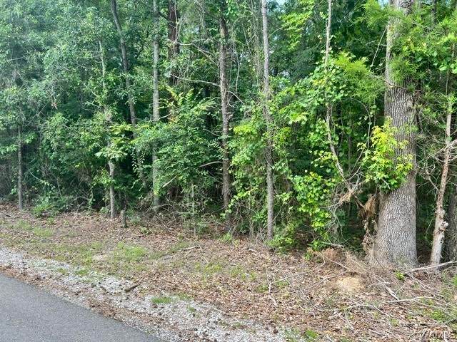 https://bt-photos.global.ssl.fastly.net/tuscaloosa/orig_boomver_2_173328-2.jpg