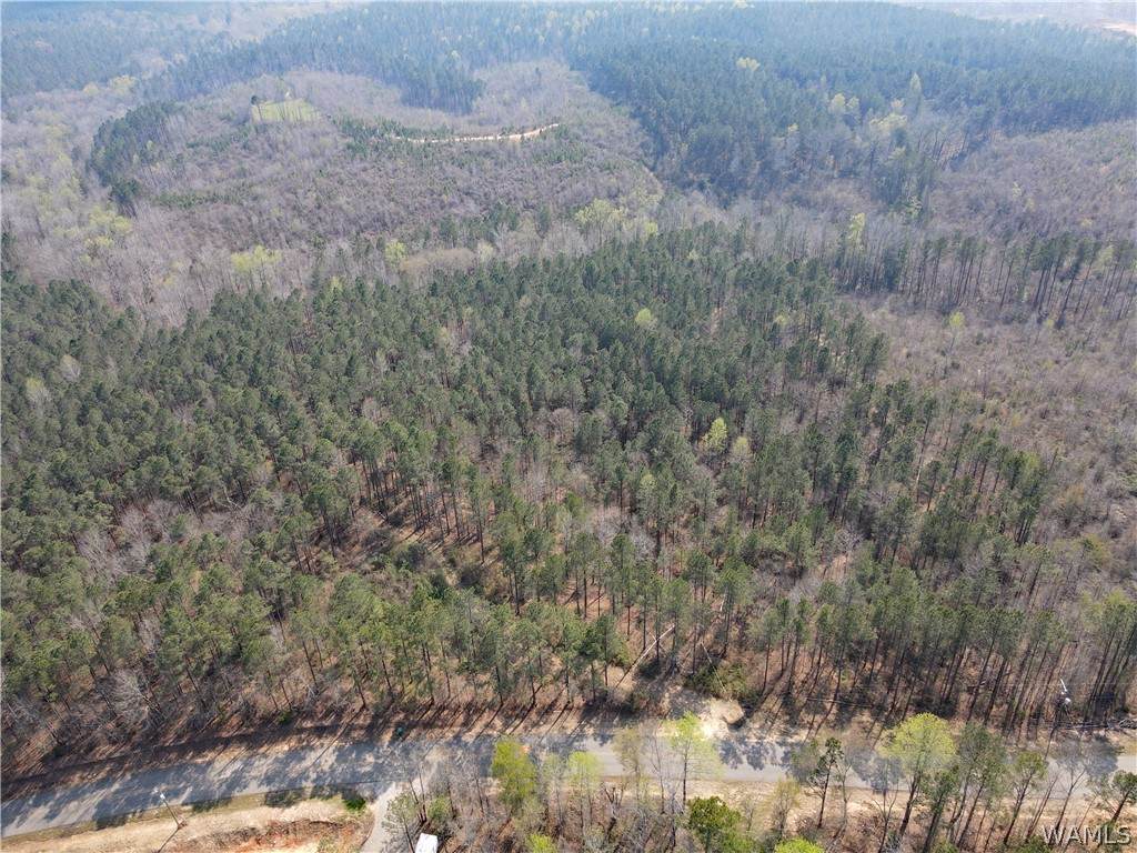 https://bt-photos.global.ssl.fastly.net/tuscaloosa/orig_boomver_2_173420-2.jpg