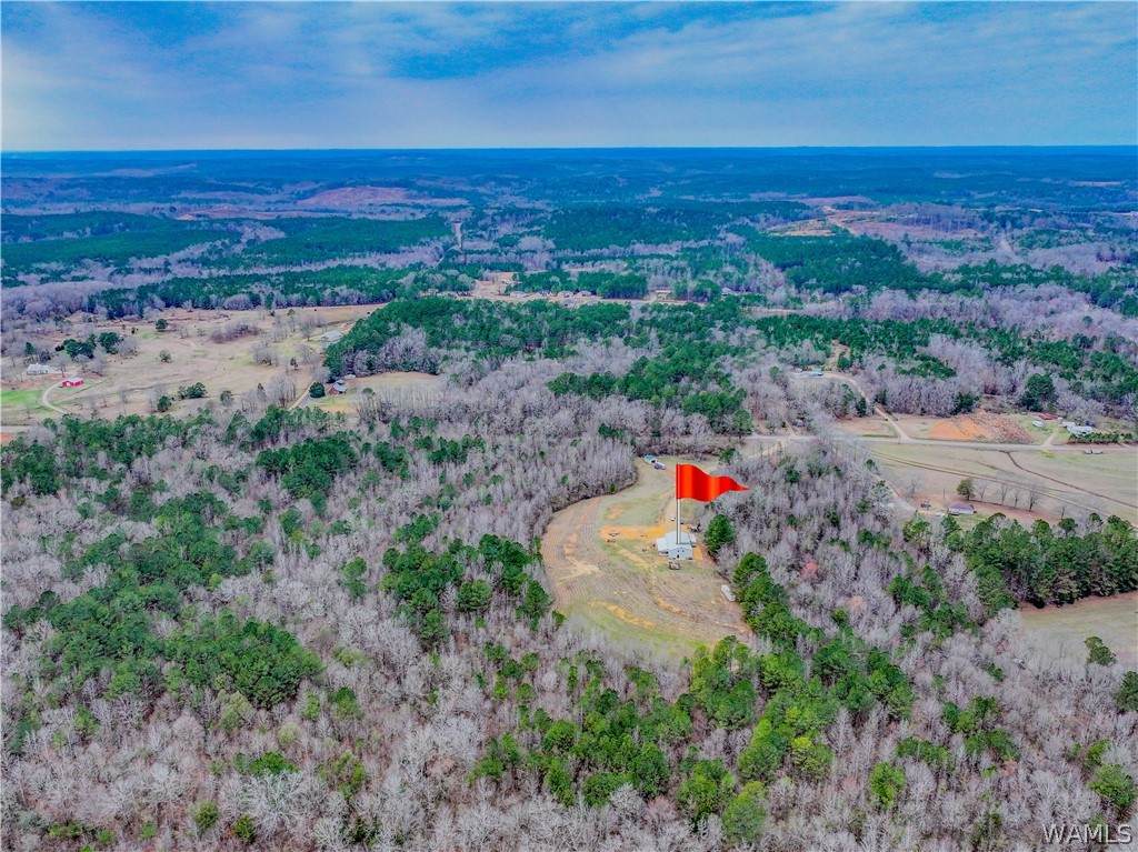 https://bt-photos.global.ssl.fastly.net/tuscaloosa/orig_boomver_2_173505-2.jpg