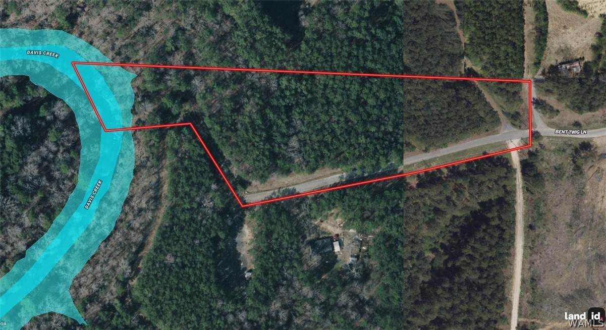 6.1 acres Bent Twig Lane - Photo 1