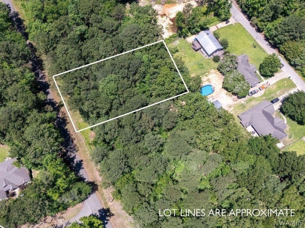 Lot 18 Grandview Drive - Photo 1