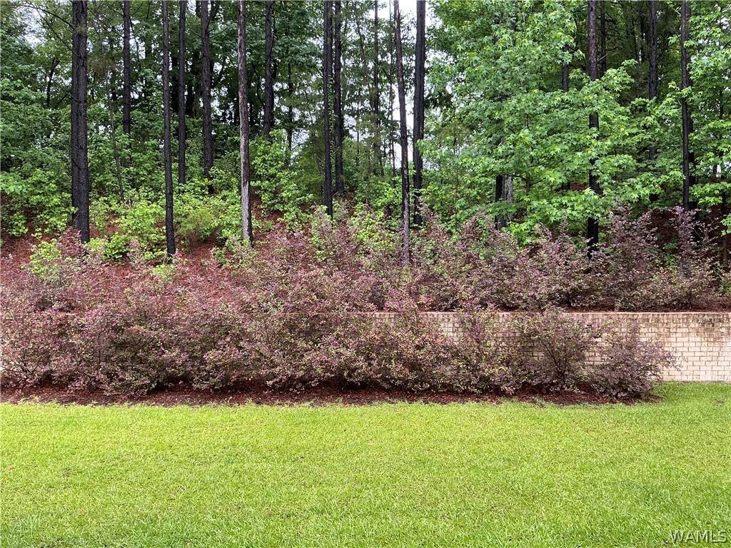 https://bt-photos.global.ssl.fastly.net/tuscaloosa/orig_boomver_1_174388-2.jpg