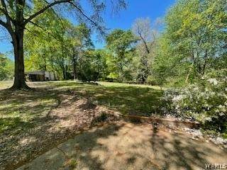 https://bt-photos.global.ssl.fastly.net/tuscaloosa/orig_boomver_2_174537-2.jpg