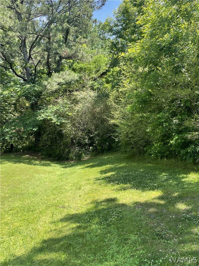 00 Rock Castle Lane - Photo 1