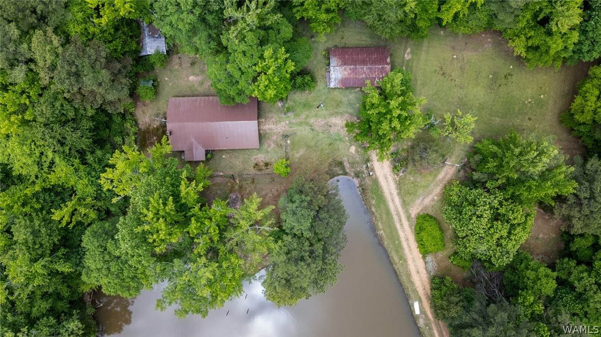https://bt-photos.global.ssl.fastly.net/tuscaloosa/orig_boomver_1_175114-2.jpg