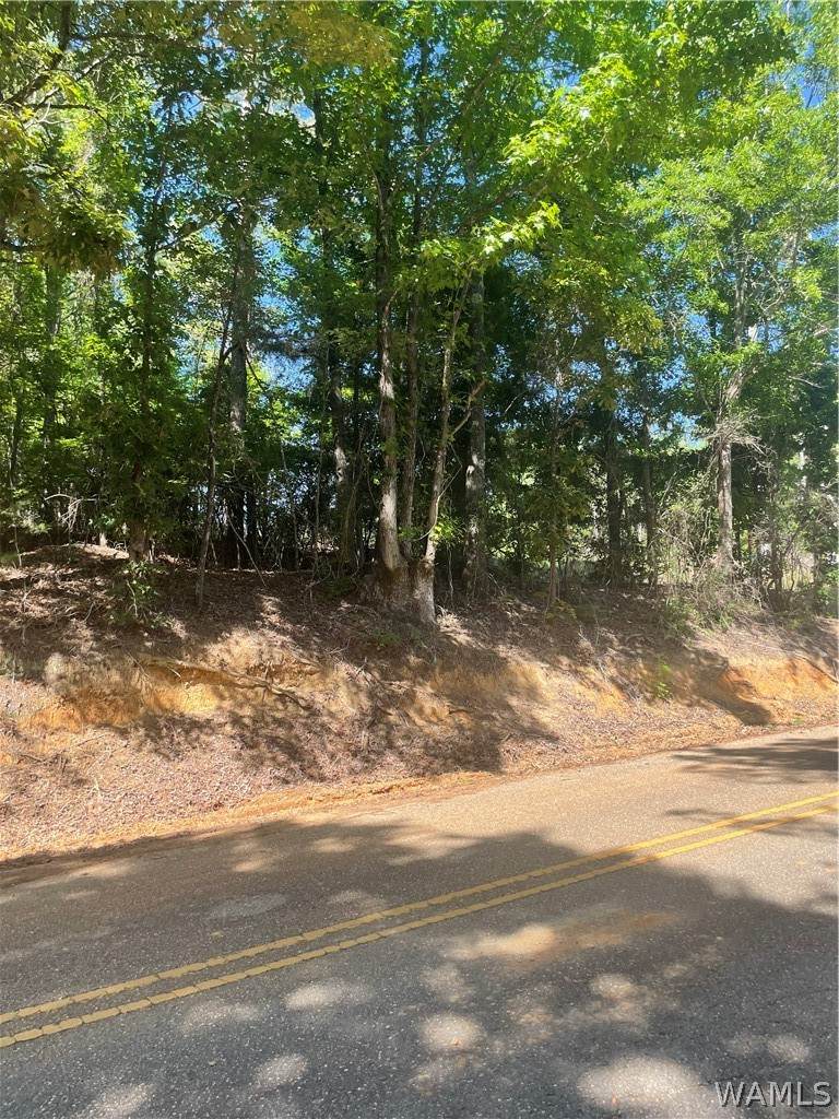 00 Little Sandy Road - Photo 1
