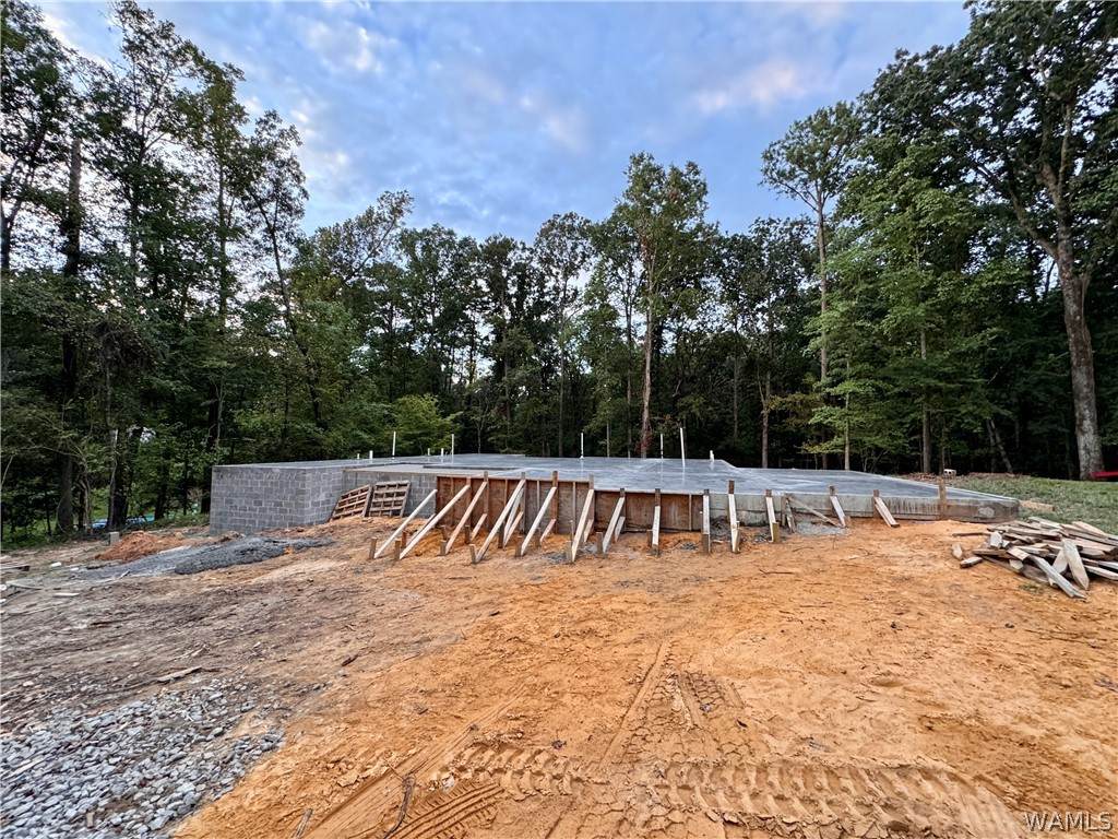 https://bt-photos.global.ssl.fastly.net/tuscaloosa/orig_boomver_2_176080-2.jpg