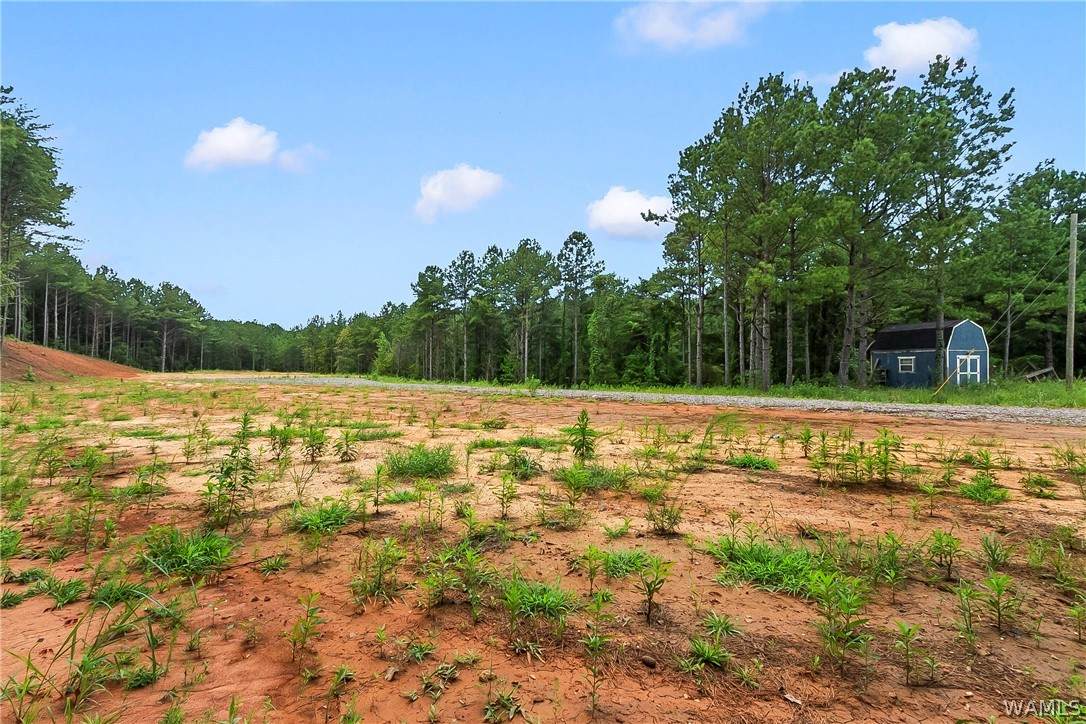 https://bt-photos.global.ssl.fastly.net/tuscaloosa/orig_boomver_2_176485-2.jpg