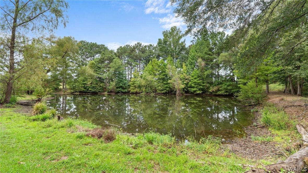 https://bt-photos.global.ssl.fastly.net/tuscaloosa/orig_boomver_2_177128-2.jpg