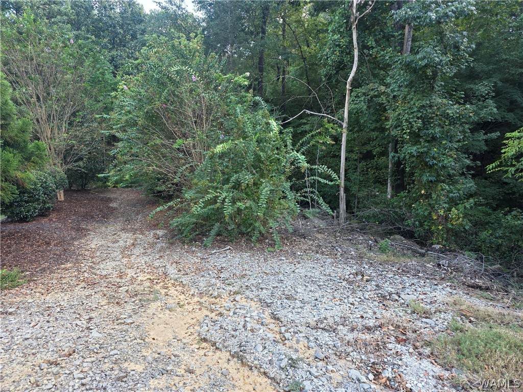 https://bt-photos.global.ssl.fastly.net/tuscaloosa/orig_boomver_2_177324-2.jpg