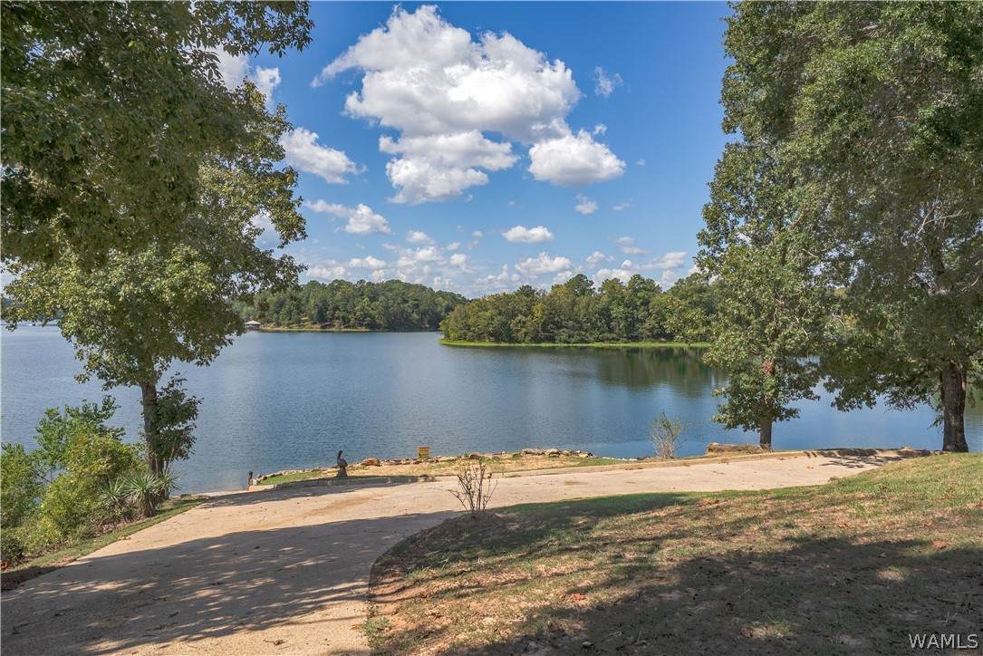 https://bt-photos.global.ssl.fastly.net/tuscaloosa/orig_boomver_2_177333-2.jpg