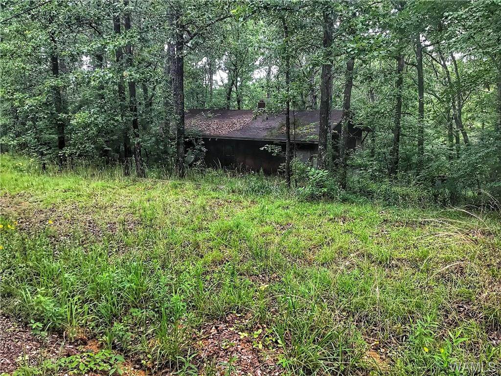 730 Lower Forty Road - Photo 1