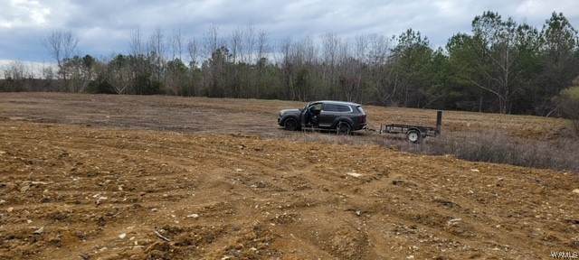 https://bt-photos.global.ssl.fastly.net/tuscaloosa/orig_boomver_3_160289-2.jpg