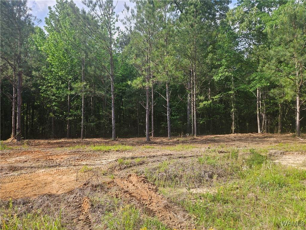 Lot 4 Magnolia Creek Rd - Photo 1